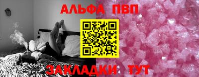 стаф Можга