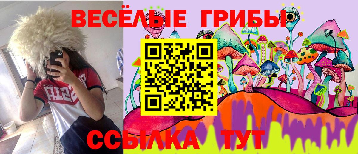 Галлюциногенные грибы прущие грибы  Вход с VPN  Тында 