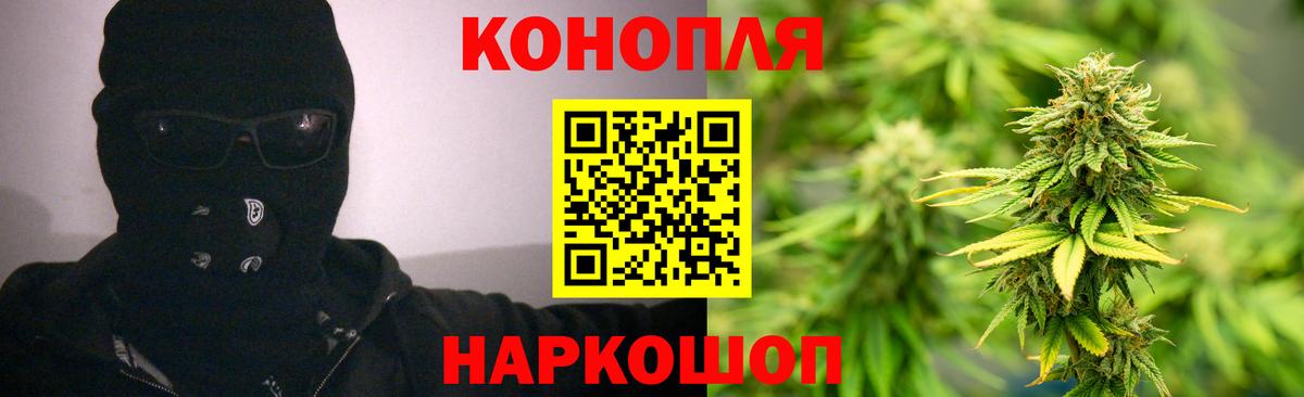 Бошки Шишки планчик Тында